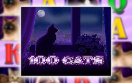 100 Cats Machine a sous 100 Cats