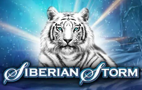 Siberian Storm Machine a sous Siberian Storm