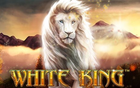 Machine à sous White King Machine a sous White King