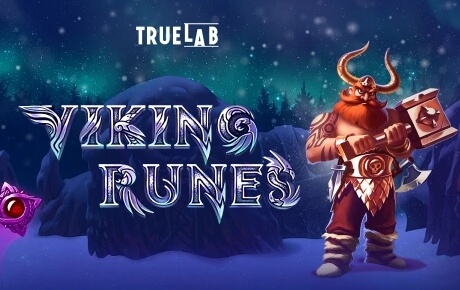 Viking Runes Machine a sous Viking Runes