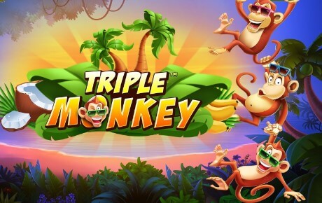 Triple Monkey Machine a sous Triple Monkey