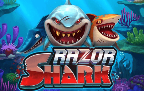 Razor Shark Machine a sous Razor Shark