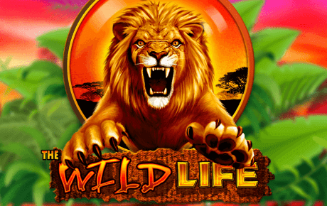 The Wild Life Machine a sous The Wild Life