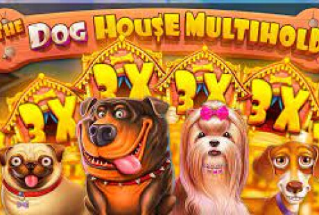 The Dog House Multihold Machine a sous The Dog House Multihold