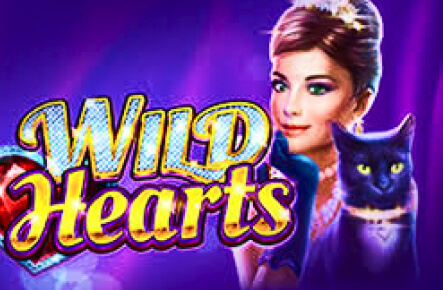 Wild Heart Machine a sous Wild Heart
