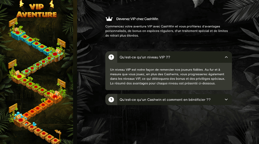 Programme VIP Cashwin Casino Programme VIP