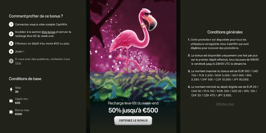 Recharge Bonus Cashwin Casino Recharge Bonus